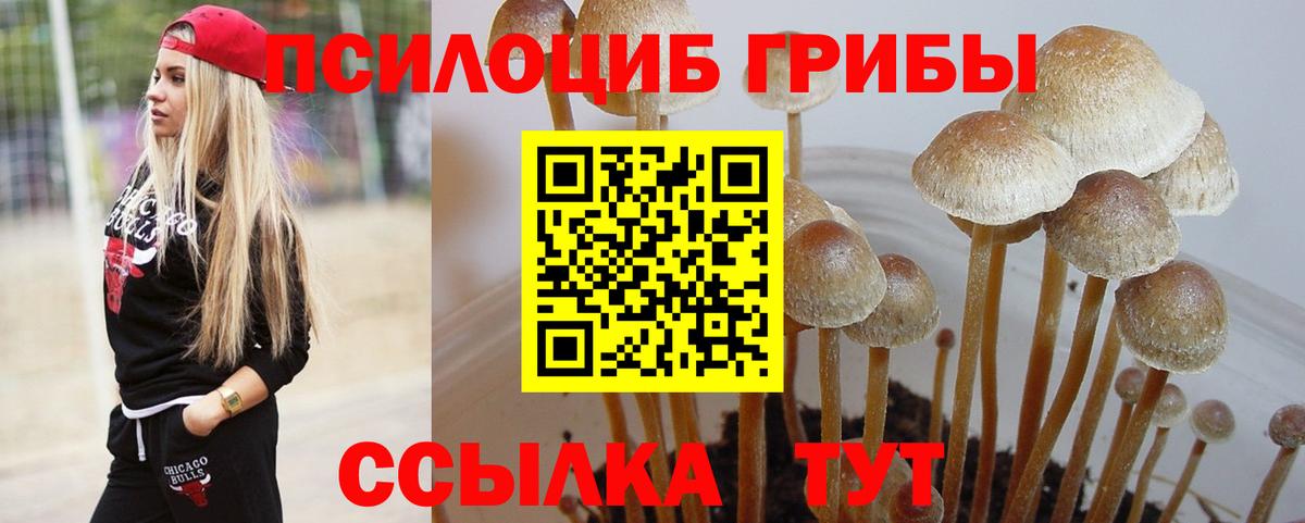 Галлюциногенные грибы ЛСД  Вход с VPN  Галлюциногенные грибы прущие грибы  Благовещенск 